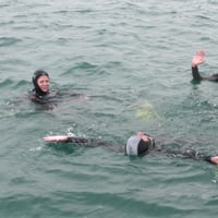 Sabbe_201305_gp (2)