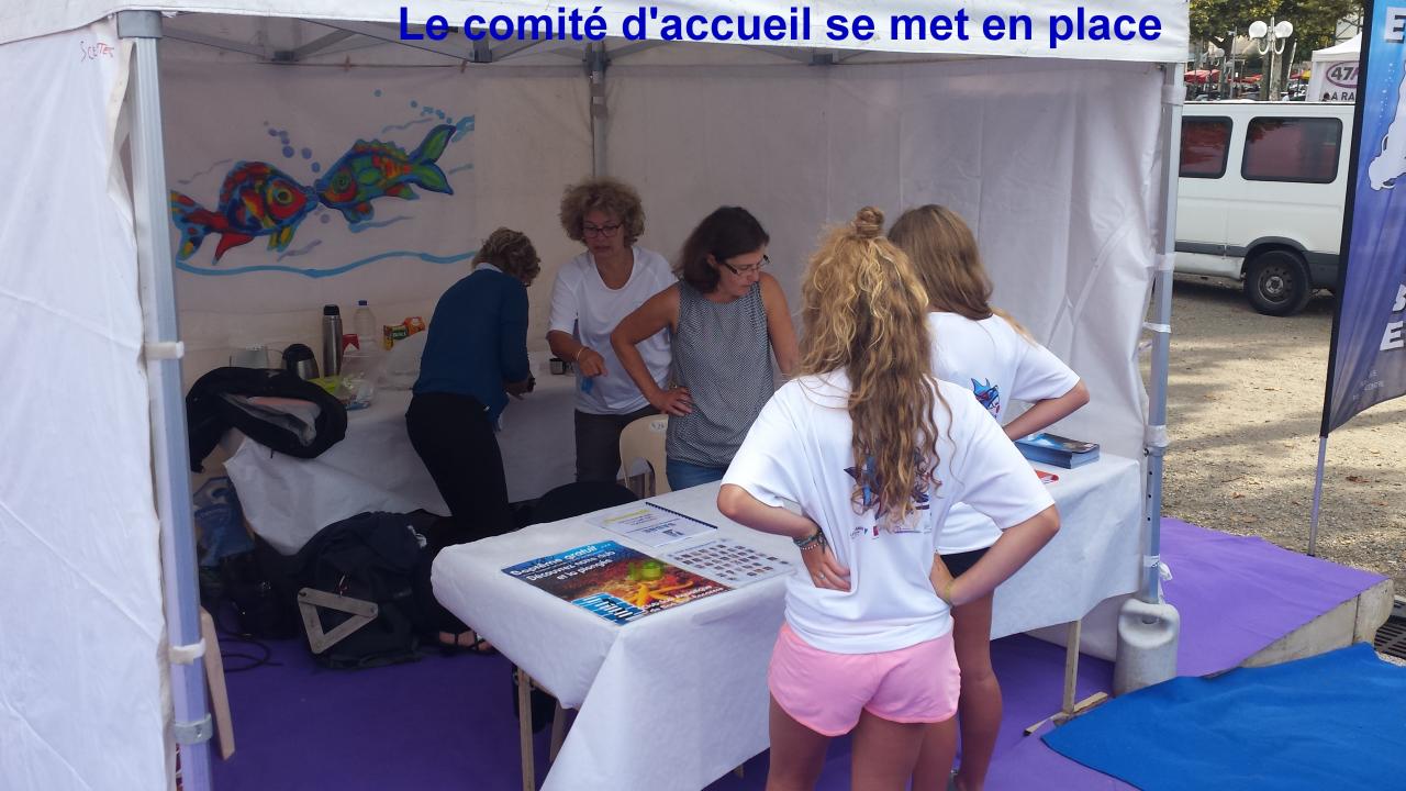 SABBE plongée Pruneau Show 2014 (6_2)